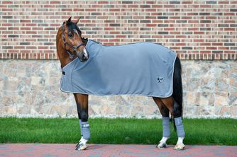 Polar Fleece Rug