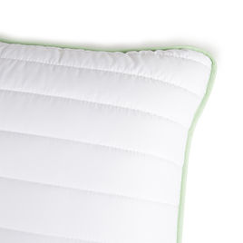 Aloe Vera Pillow