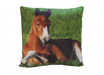 Decorative Cushion 02HORSE