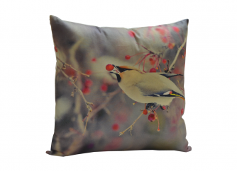 Decorative Cushion 01BERRIES