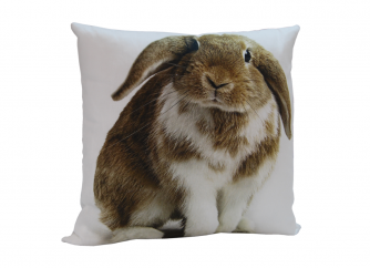 Decorative Cushion 01RABBIT