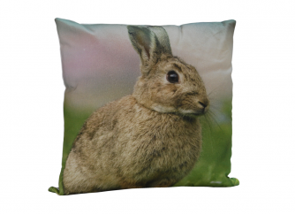 Decorative Cushion 04RABBIT