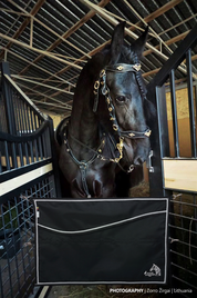 OUTDOOR STALL GUARD