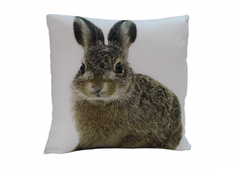 Decorative Cushion 03RABBIT