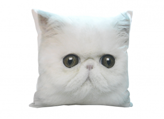 Decorative Cushion 02CAT