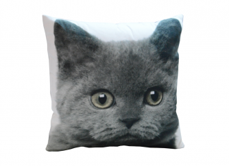 Decorative Cushion 03CAT