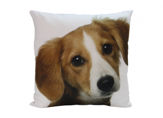 Decorative Cushion 02DOG