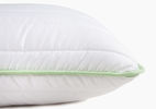 Aloe Vera Pillow