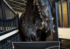 OUTDOOR STALL GUARD