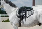 Sateen Saddle Pad