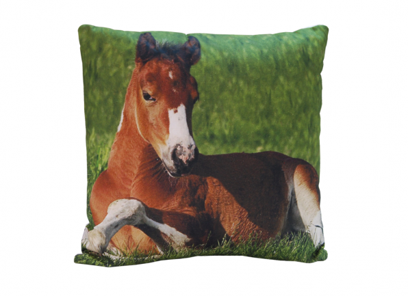 Dekoratyvinė Pagalvėlė 02HORSE