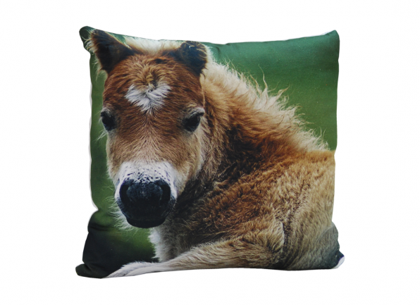 Dekoratyvinė Pagalvėlė 01HORSE