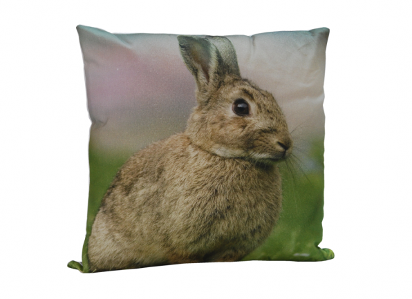 Dekoratyvinė Pagalvėlė 04RABBIT