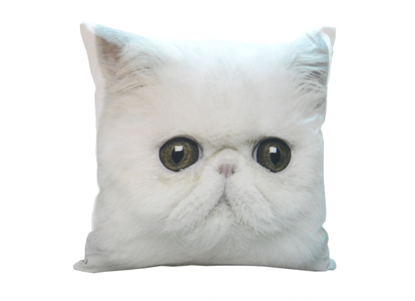 Dekoratyvinė Pagalvėlė 02CAT